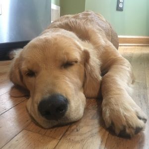 Meet your Posher, Jo